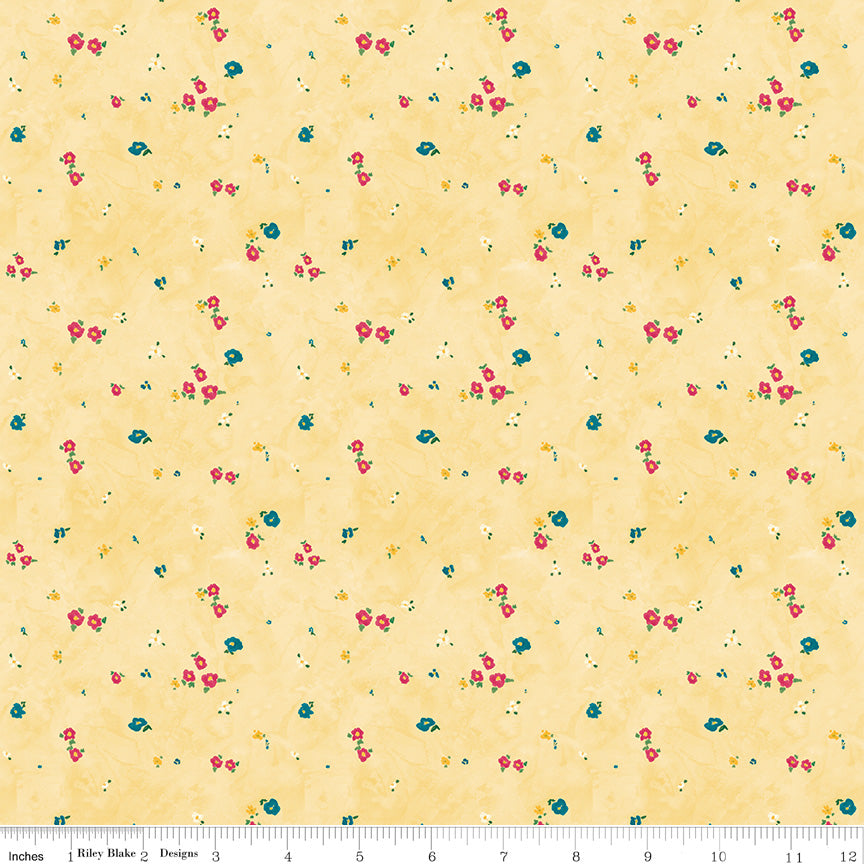 Dear Washington - APNSH 2026 – The Shiplap Quilt Shop LLC